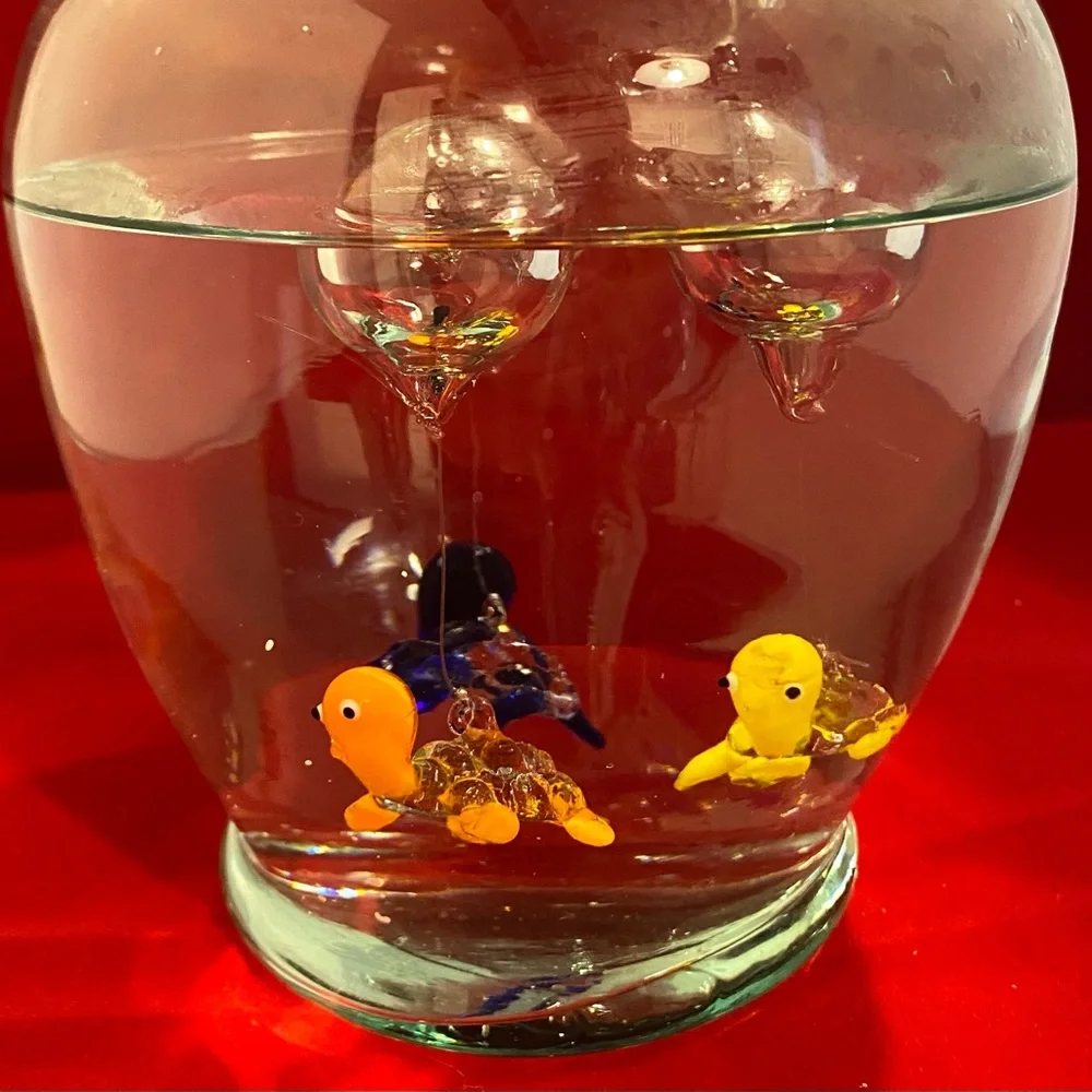 Floating Turtles - Picture 4 of 8